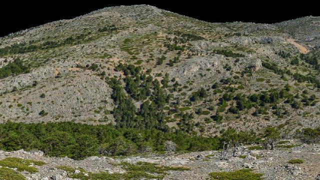 SENDERO PRADOS DEL REY - FILÓN VIOLETA