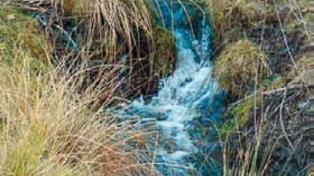 Arroyo de  bodurria