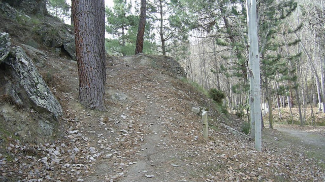 BASTIDAS – FLORANES