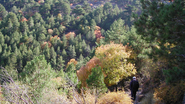 CANALEJA ALTA-PRADOS DEL REY