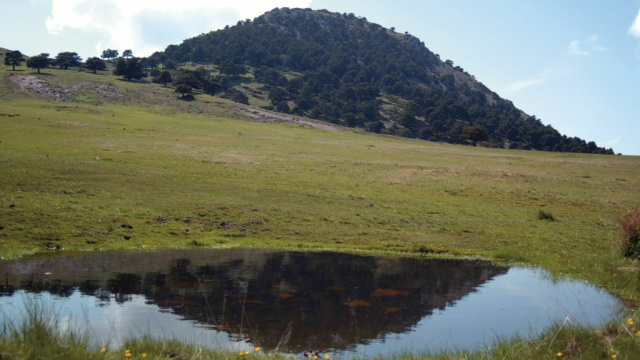 COLLADO DEL RESINERO