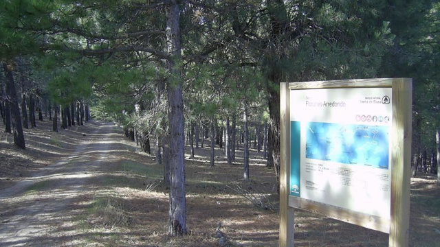 FLORANES - ARREDONDO