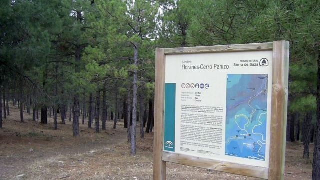 FLORANES - CERRO PANIZO