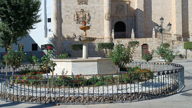 FUENTE DE LA PLAZA MAYOR
